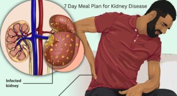 7 Day Meal Plan for Kidney Disease: Transform Your Diet and Take Control