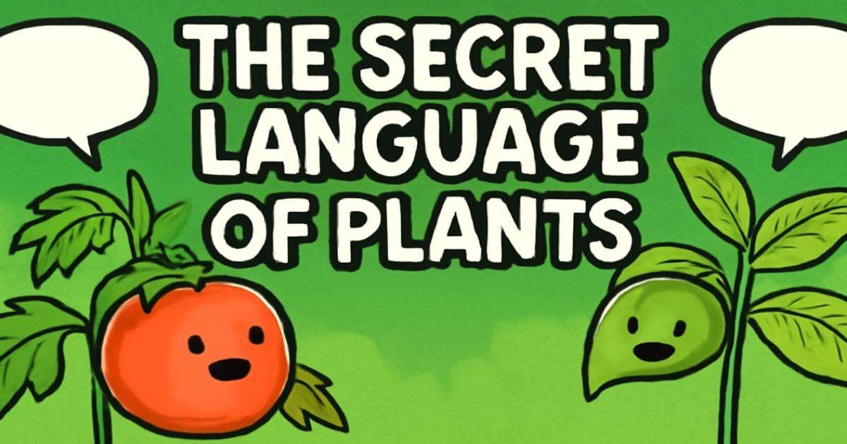The Secret Language of Plants