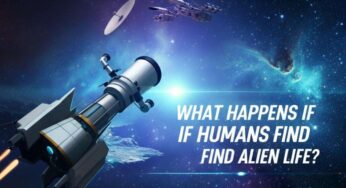 Are We Truly Alone in the Universe?