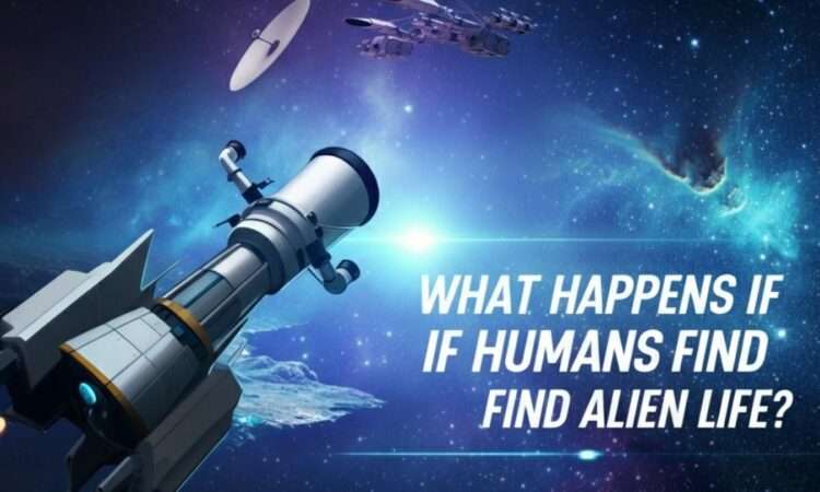 What Happens If Humans Find Alien Life?