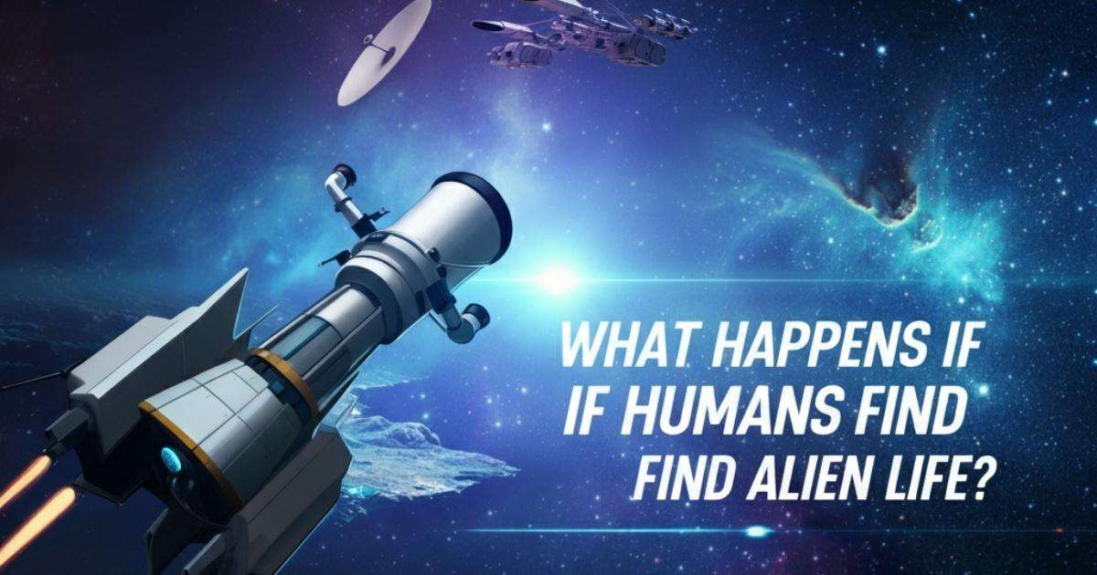 What Happens If Humans Find Alien Life?